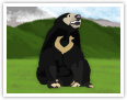 Sun bear