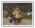 Doedicurus