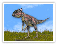 Microceratops