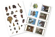 App features: Printable booklet