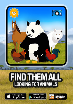 Find them all - Looking for animals